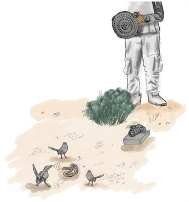 Using acoustic cameras to study vocal mobbing reveals the importance of learning in juvenile Arabian babblers